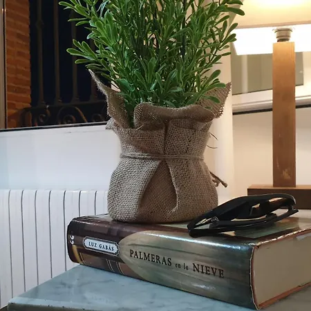 Gran Con Chimenea A 55 Min De Madrid Confort, Calidad & Wifi Free Apartment *